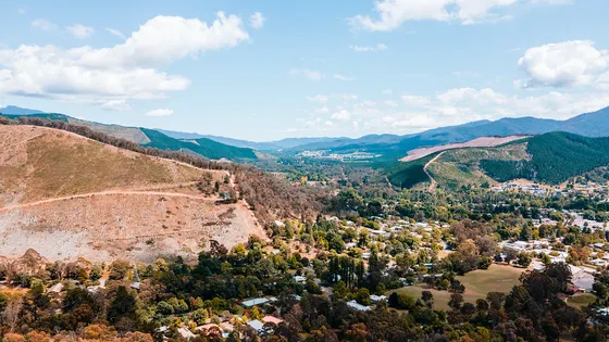 Huggins Lookout