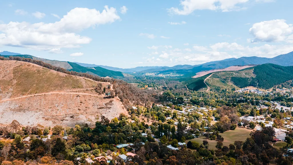Huggins Lookout