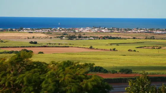 Hummock Lookout