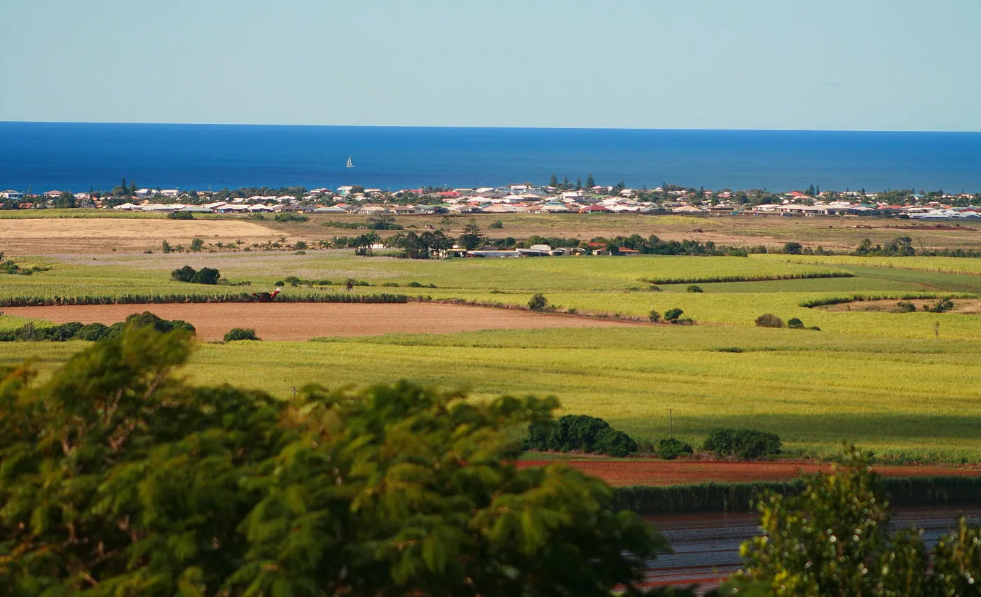 Hummock Lookout