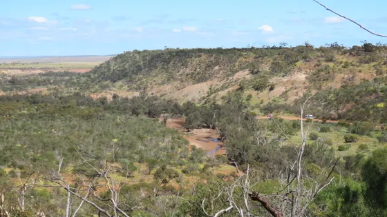 Irwin Lookout
