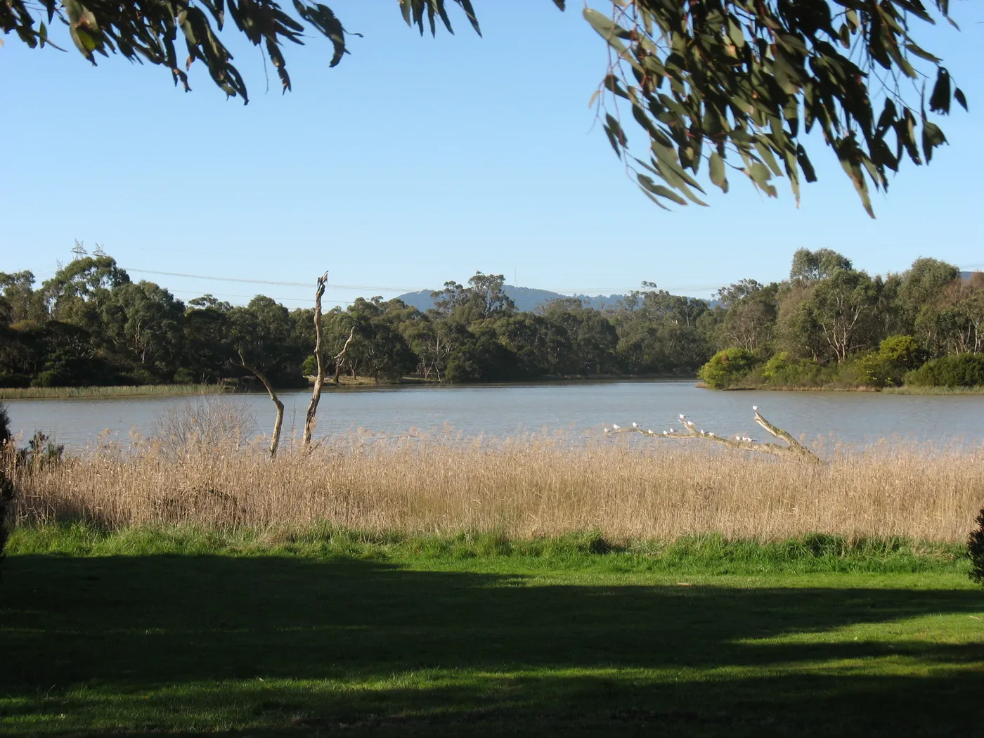 Jells Park