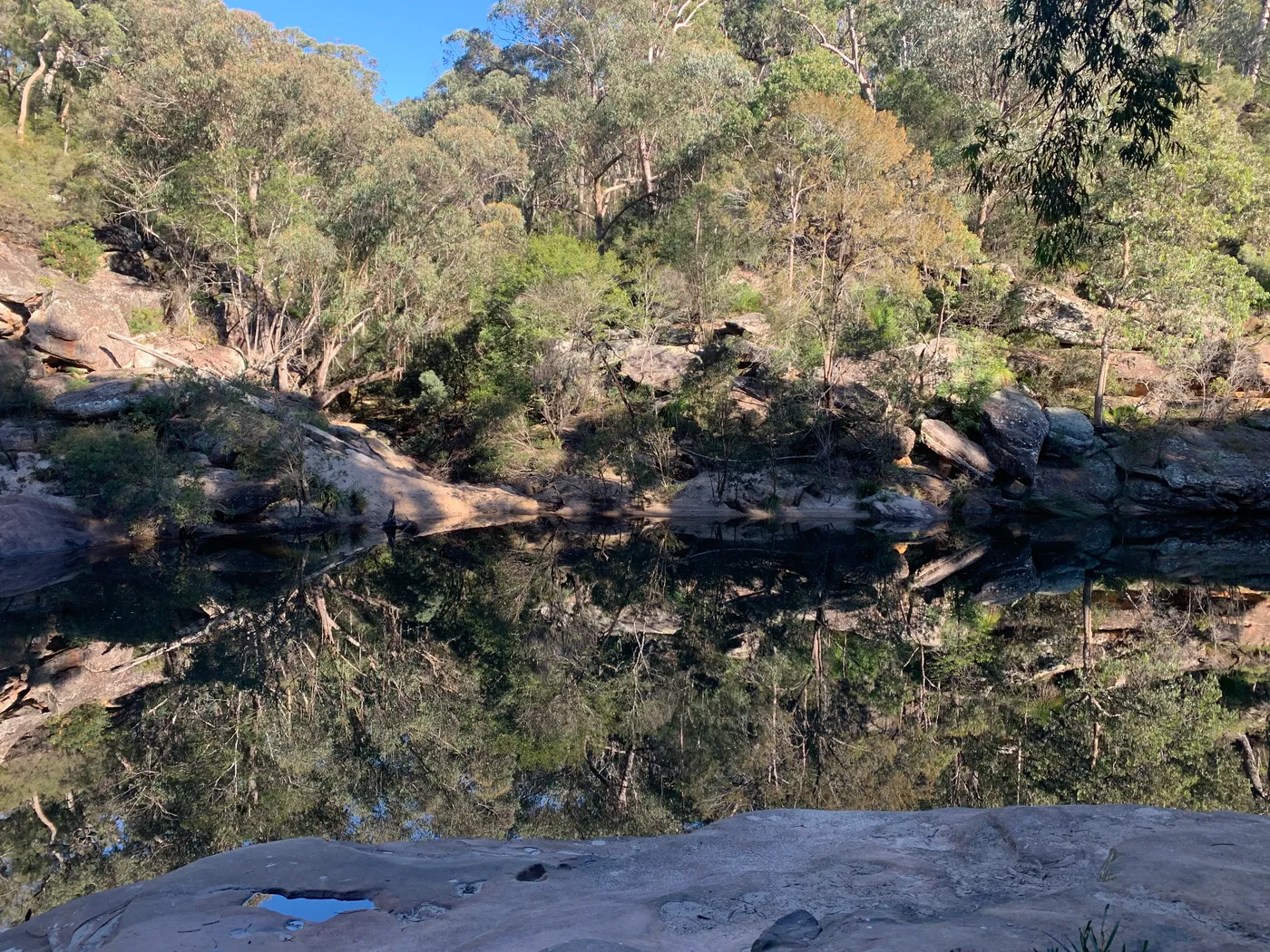 Jellybean Pool