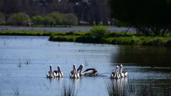 Jerrabomberra Wetlands