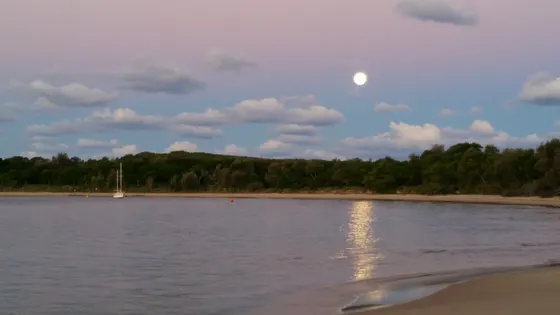 Jibbon Beach