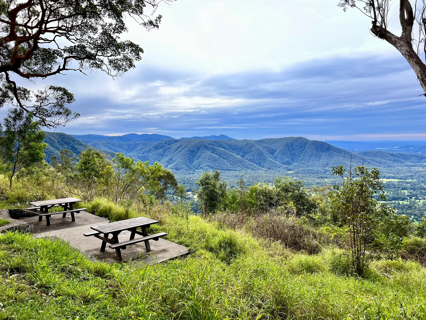 Jollys Lookout