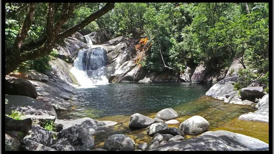 Josephine Falls