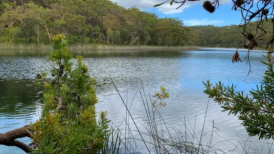 Kaboora (Blue Lake)