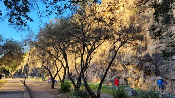 Kangaroo Point Cliffs