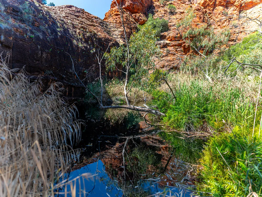 Kathleen Springs Walk