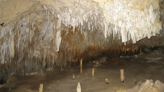 Kelly Hill Caves