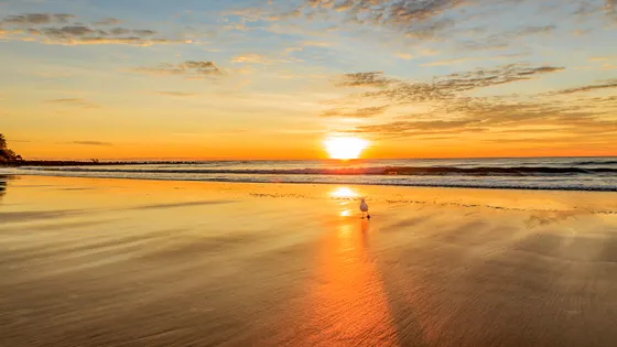 Kellys Beach