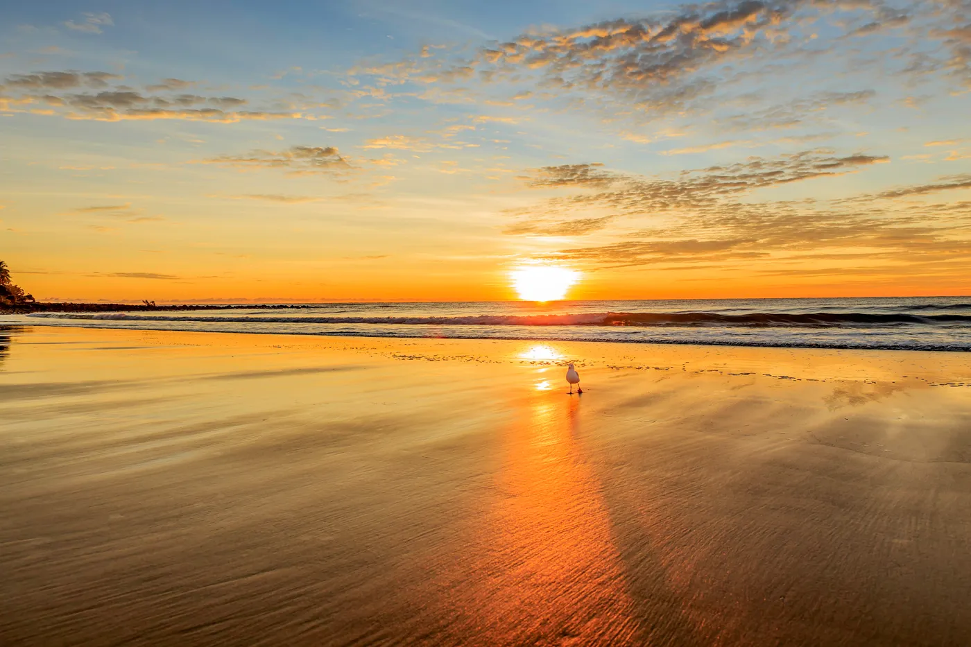 Kellys Beach