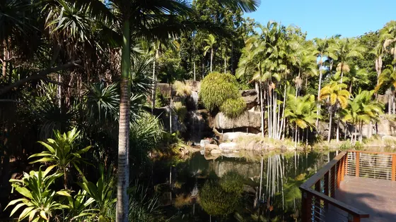 Kershaw Gardens Waterfall