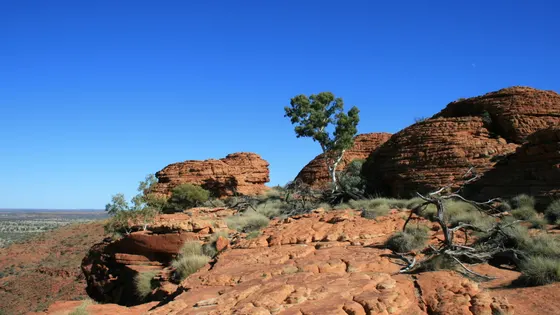 Kings Canyon Rim Walk