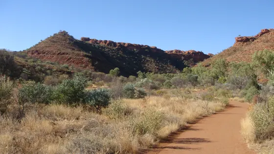 Kings Creek Walk