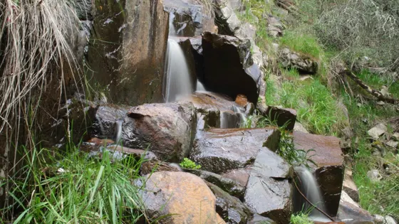 Kings Falls