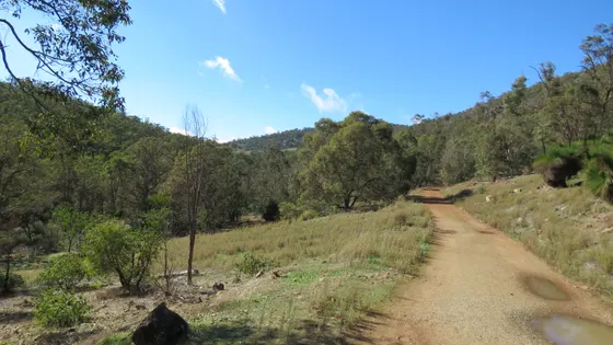 Kitty's Gorge