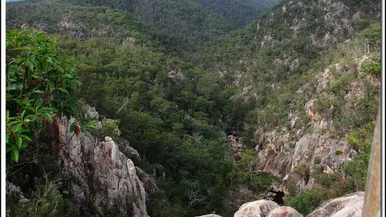 Koonin Lookout
