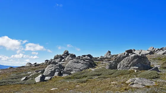 Kosciuszko Lookout