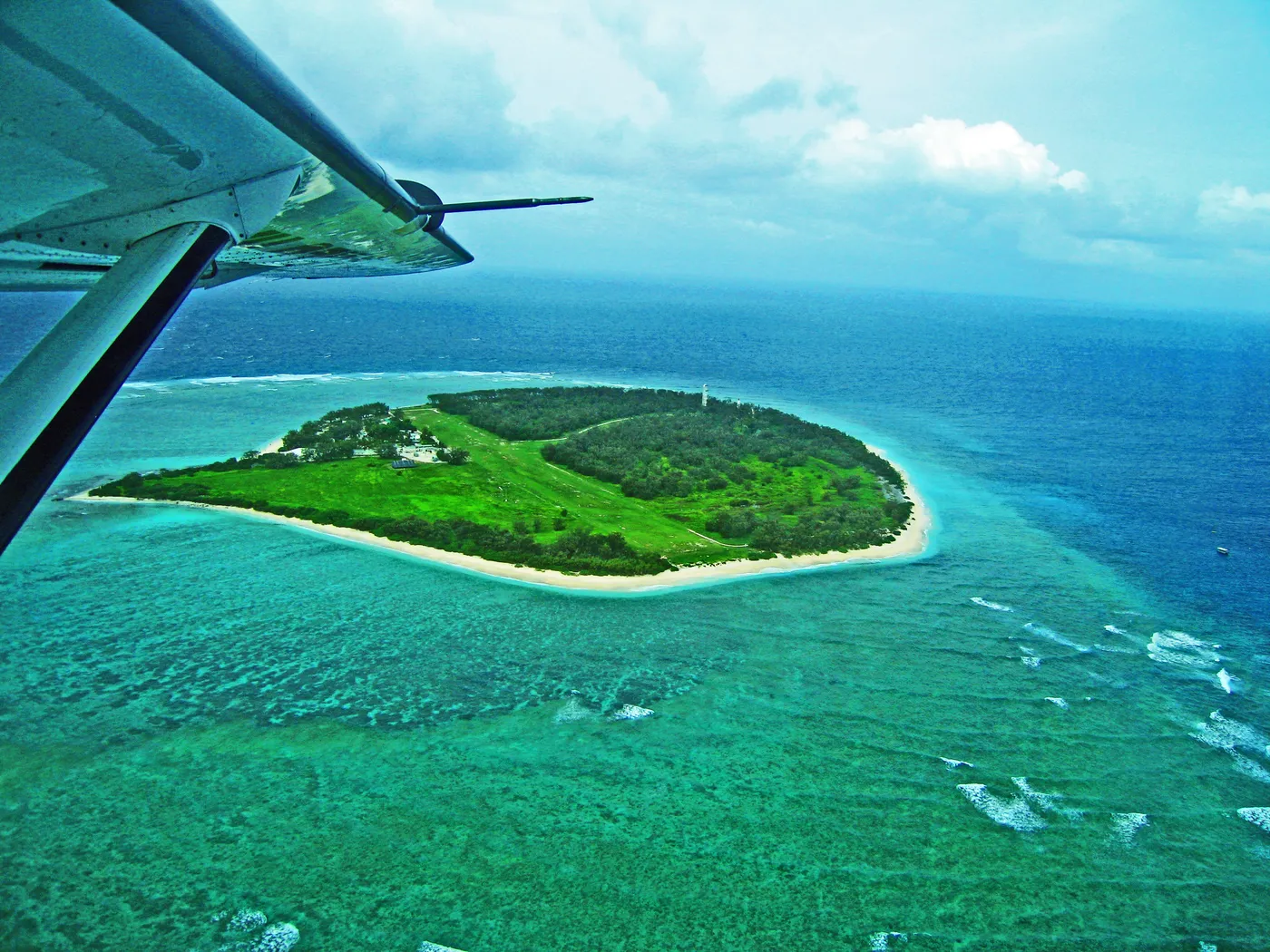 Lady Elliot Island