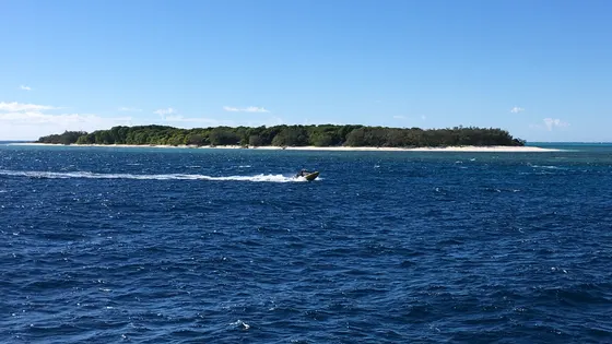 Lady Musgrave Island