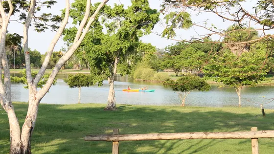 Lake Alexander