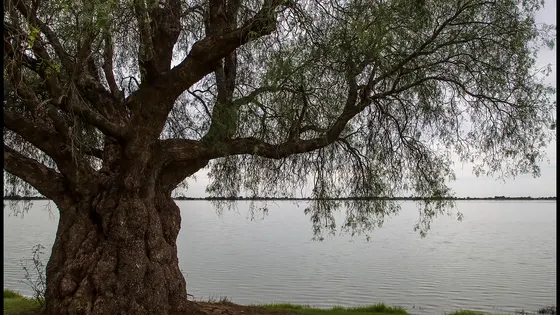 Lake Boga