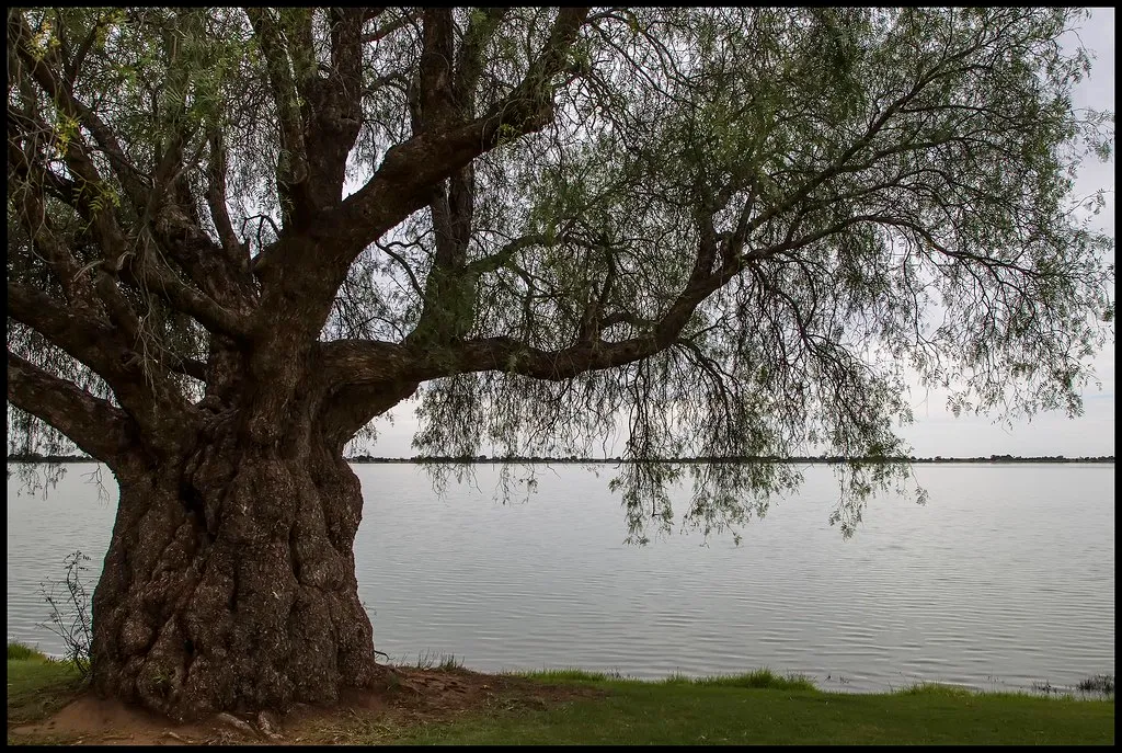 Lake Boga