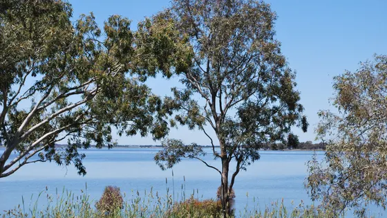 Lake Bolac