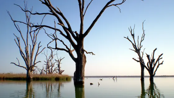 Lake Bonney