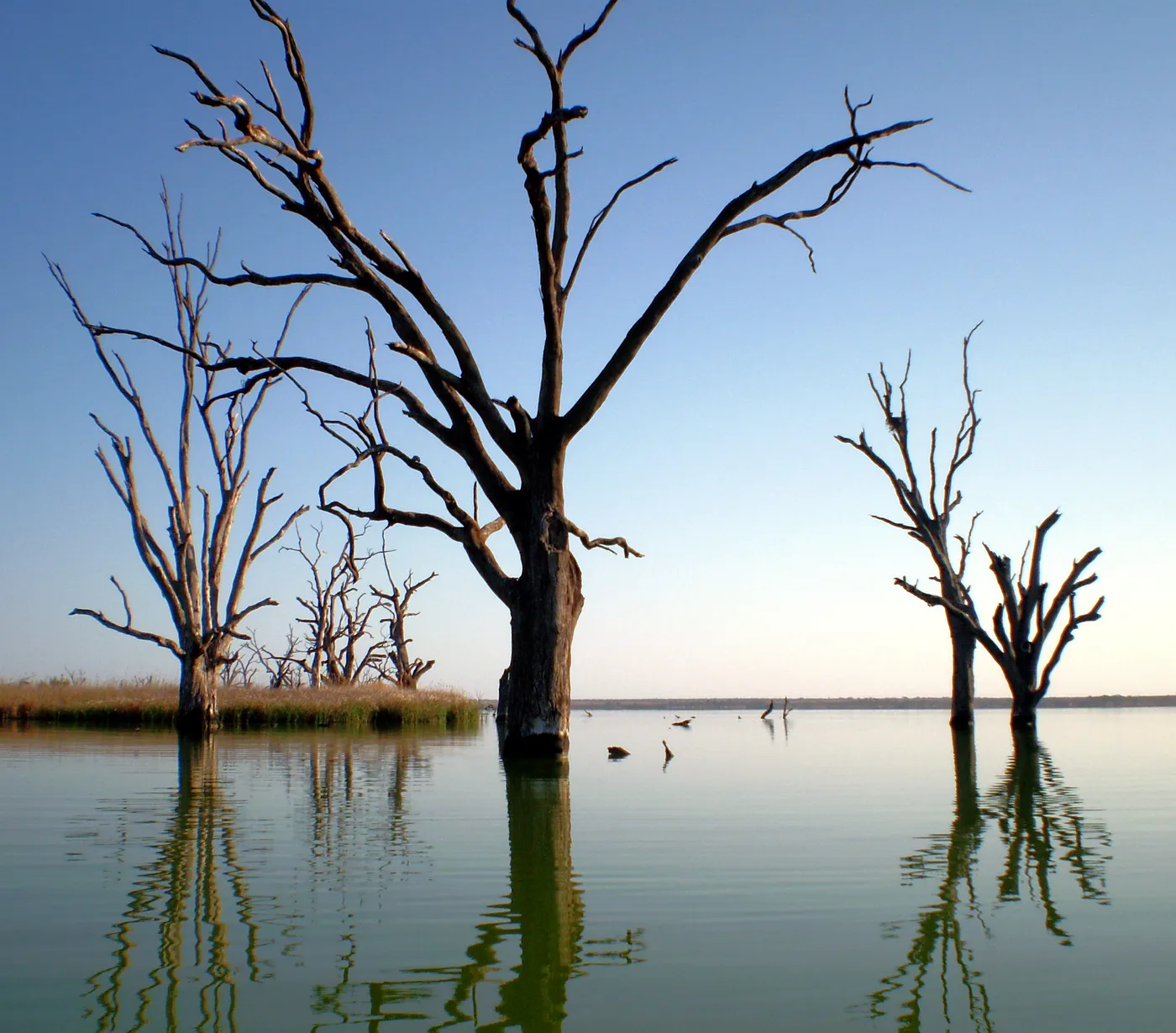 Lake Bonney