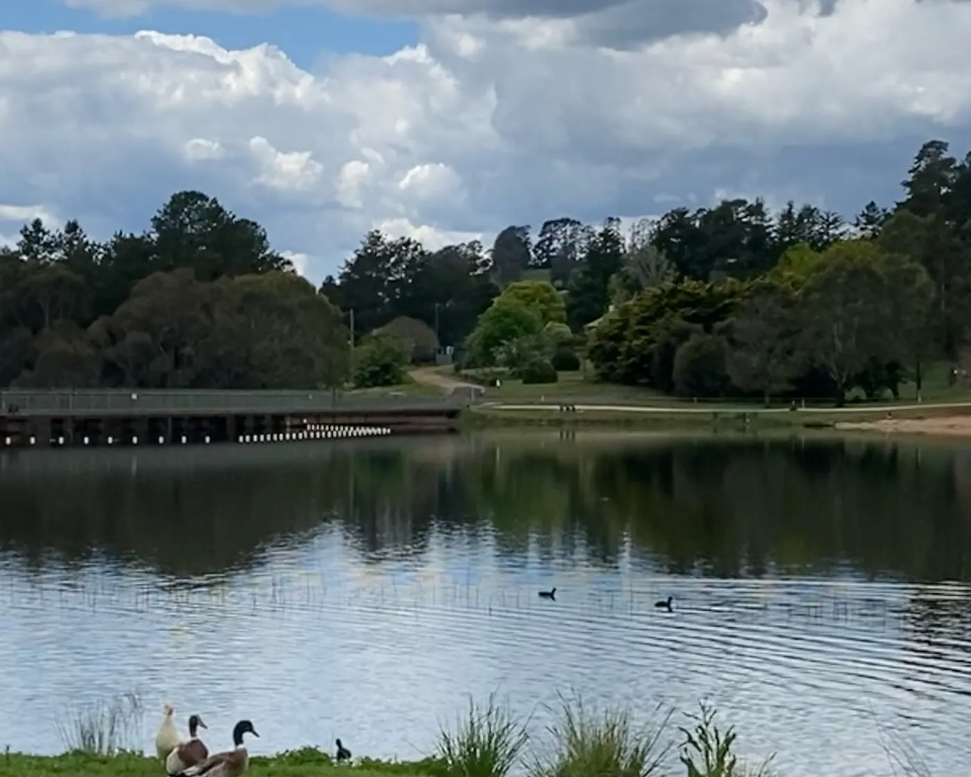 Lake Canobolas