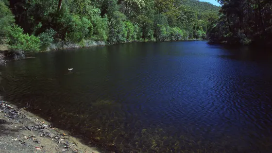 Lake Eckersley