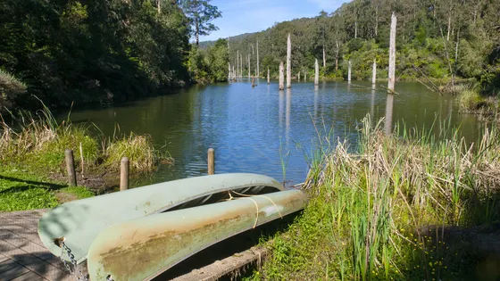 Lake Elizabeth