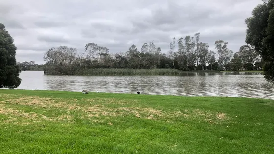 Lake Guthridge
