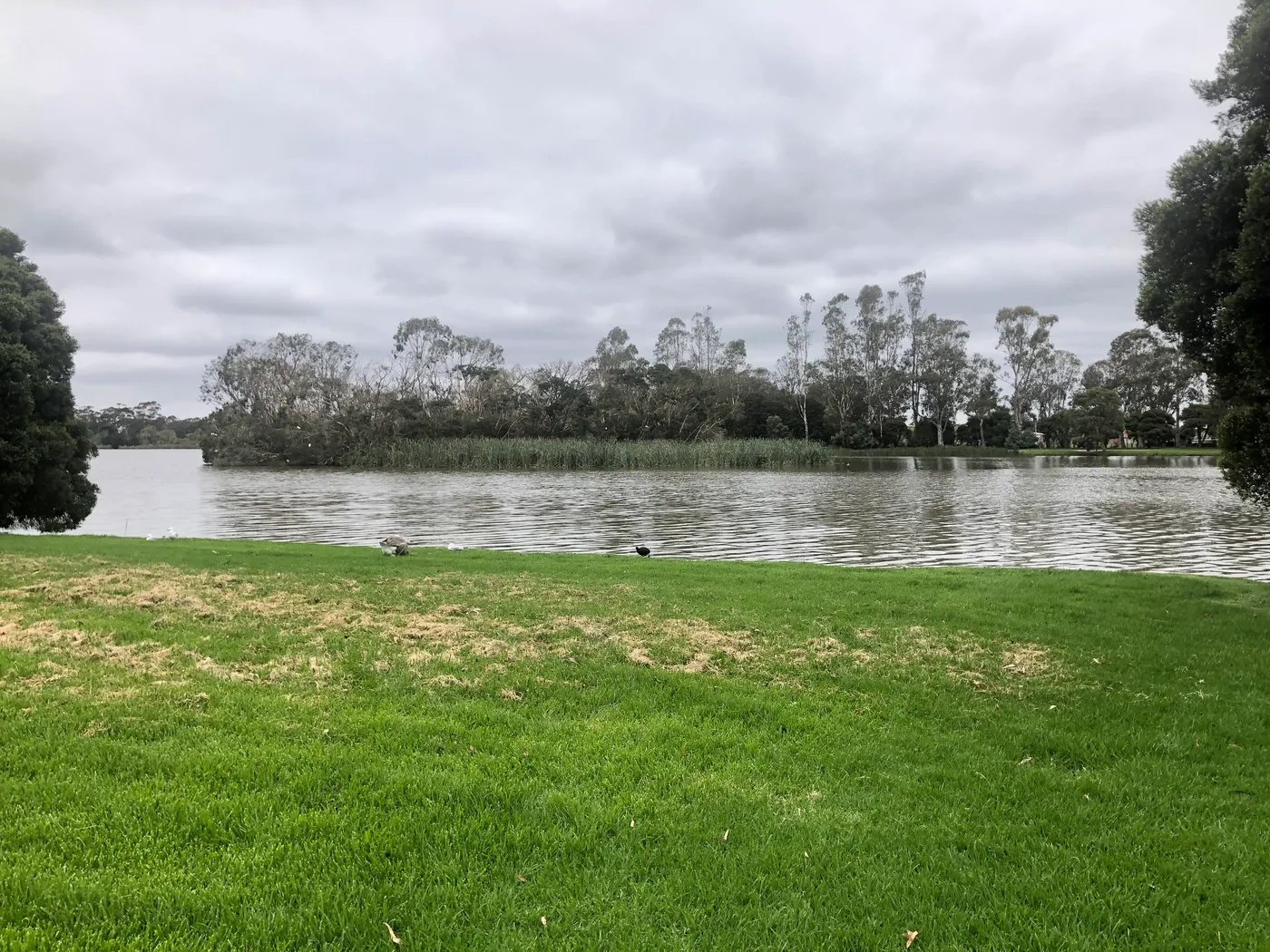 Lake Guthridge