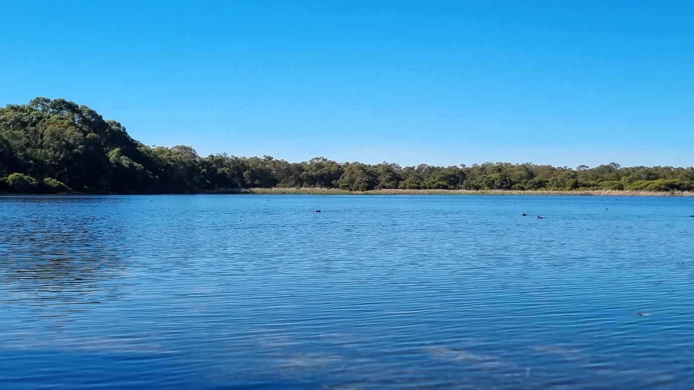 Lake Gwelup