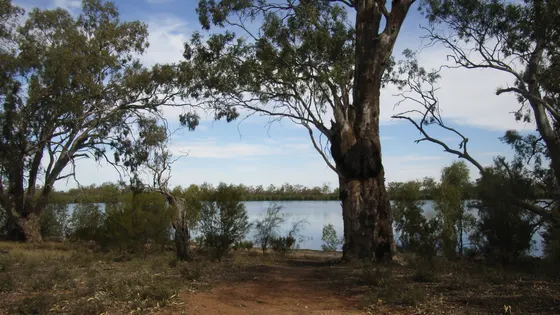 Lake Hattah