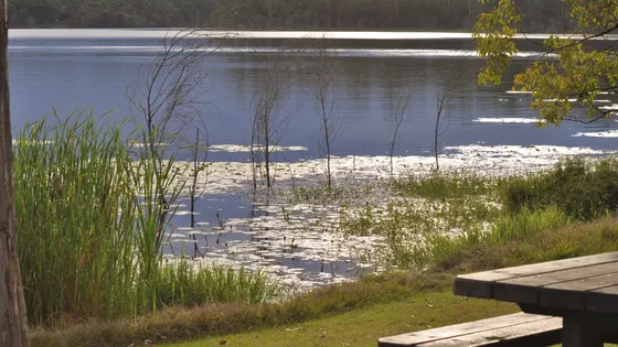 Lake Kurwongbah