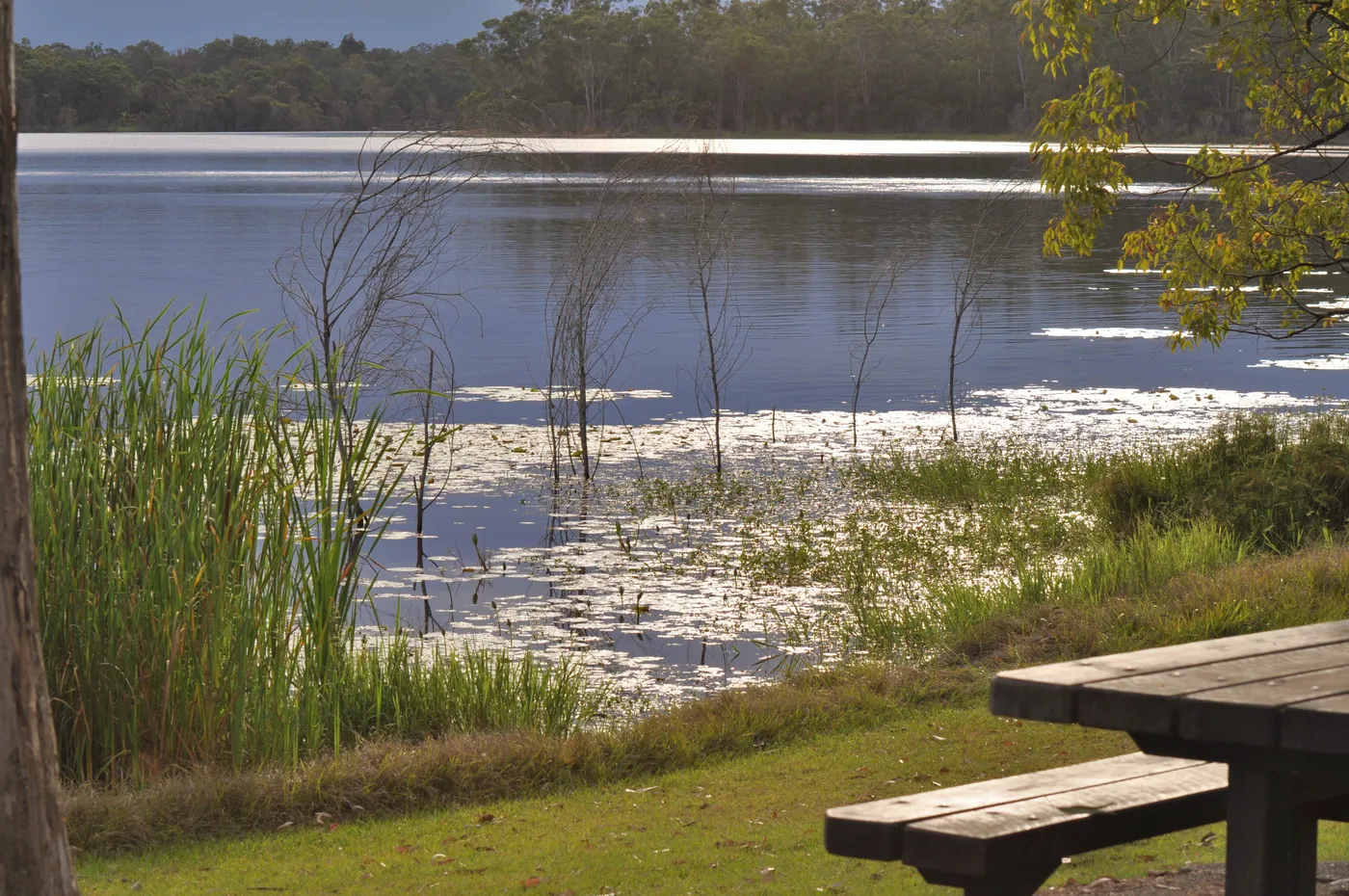 Lake Kurwongbah