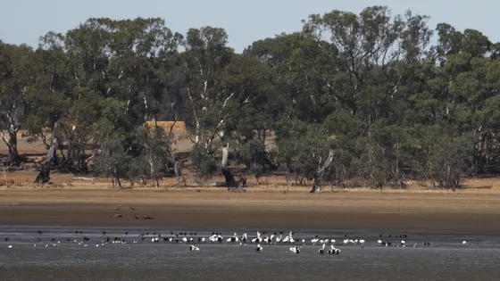 Lake Lonsdale