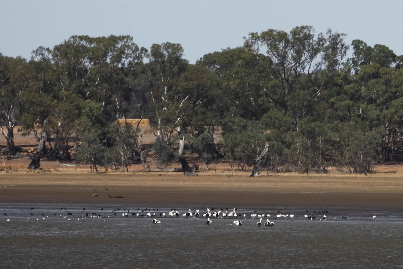 Lake Lonsdale