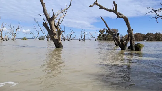 Lake Menindee