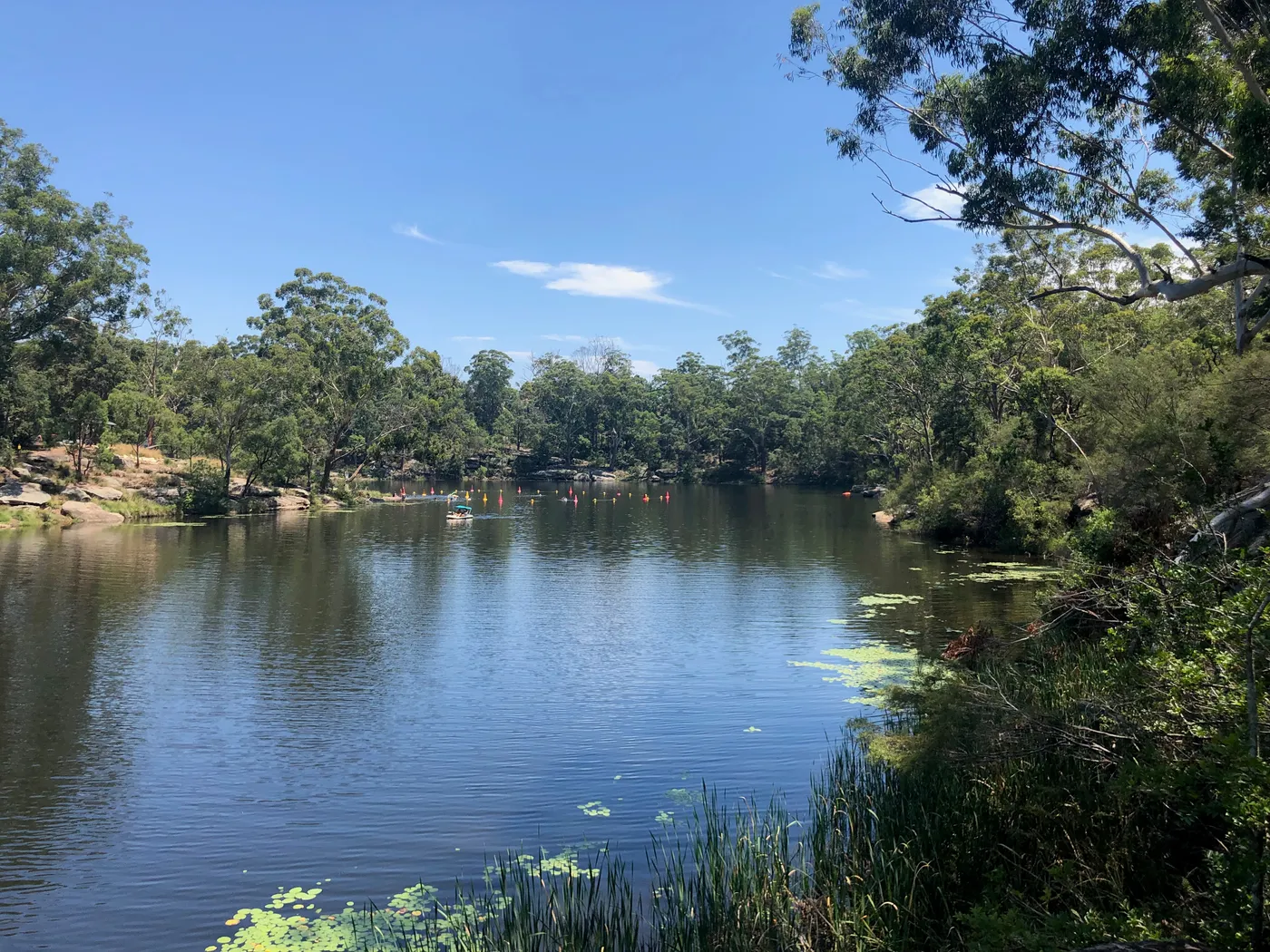 Lake Parramatta swimming area