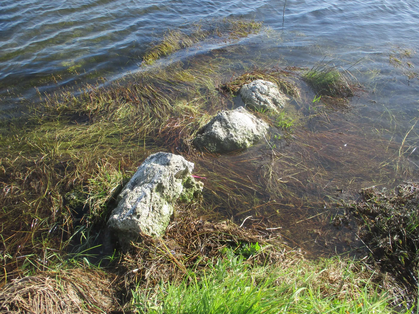 Lake Richmond