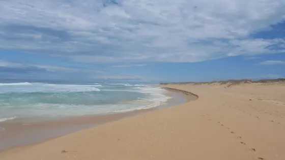 Lakes Entrance Main Beach (Ninety Mile Beach)
