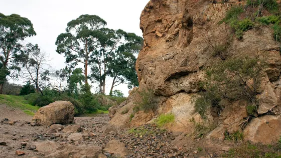 Lerderderg Gorge (Mackenzies Flat to Grahams Dam)