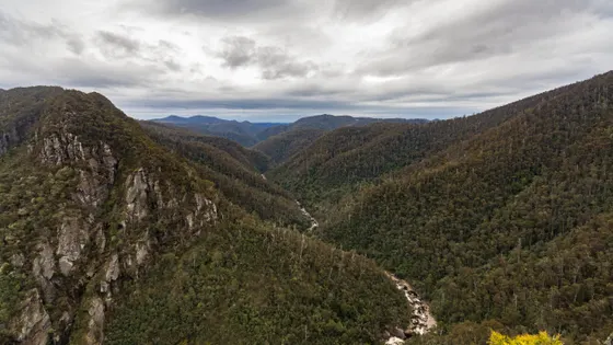 Leven Canyon Lookout