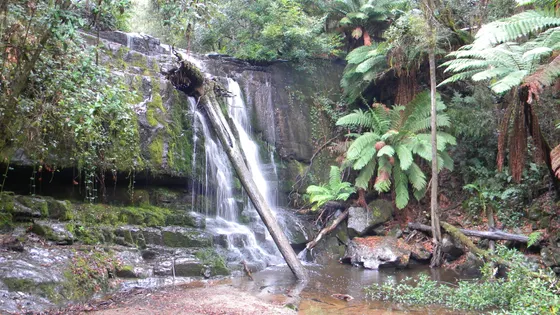 Lilydale Falls